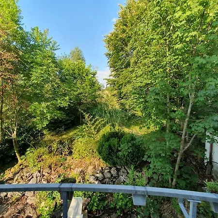 Traum Blick Am Rottachsee